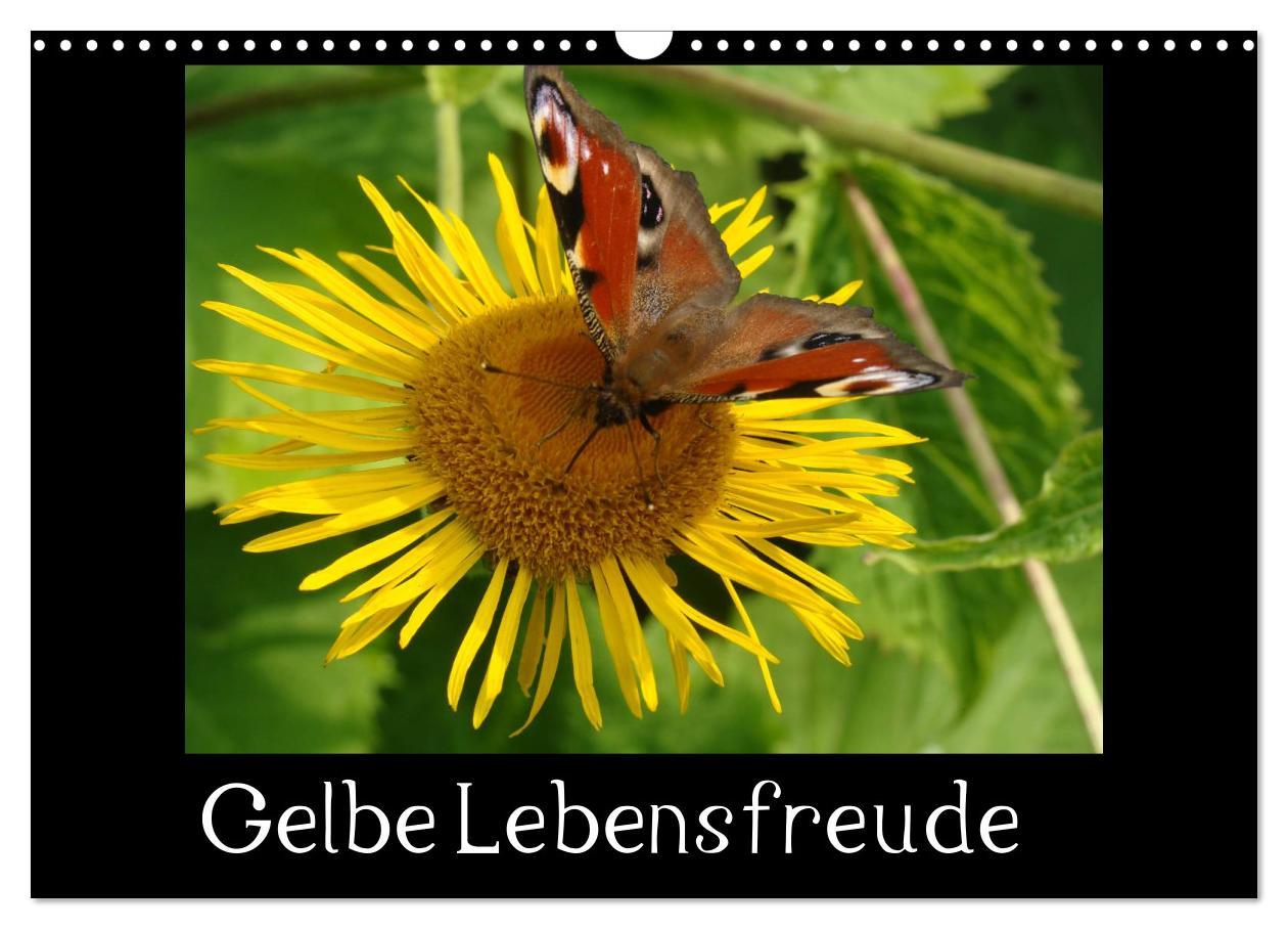 Cover: 9783435789771 | Gelbe Lebensfreude (Wandkalender 2025 DIN A3 quer), CALVENDO...