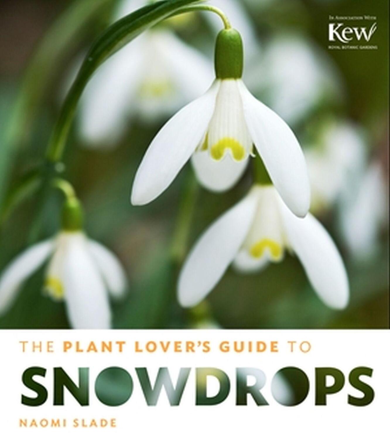 Cover: 9781604694352 | The Plant Lover's Guide to Snowdrops | Naomi Slade | Buch | 2014