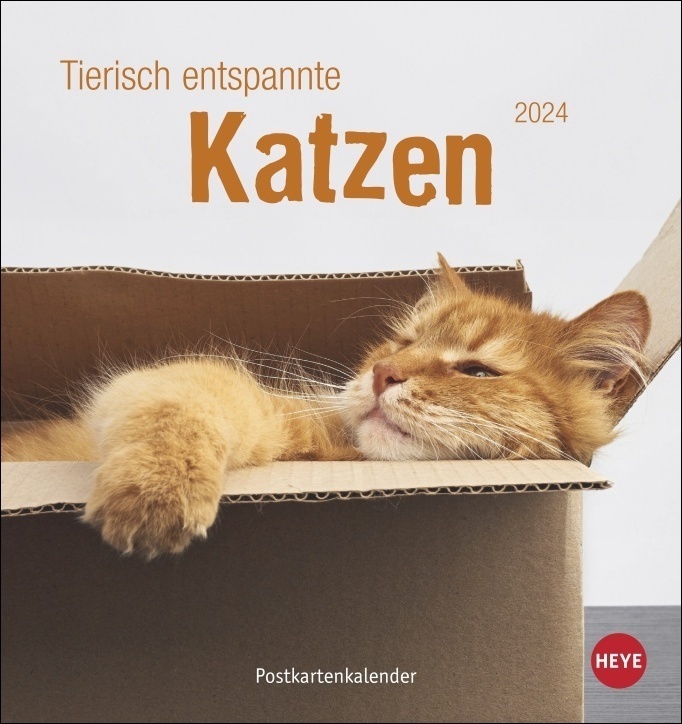 Cover: 9783756402410 | Tierisch entspannte Katzen Postkartenkalender 2024. Witzige Fotos...