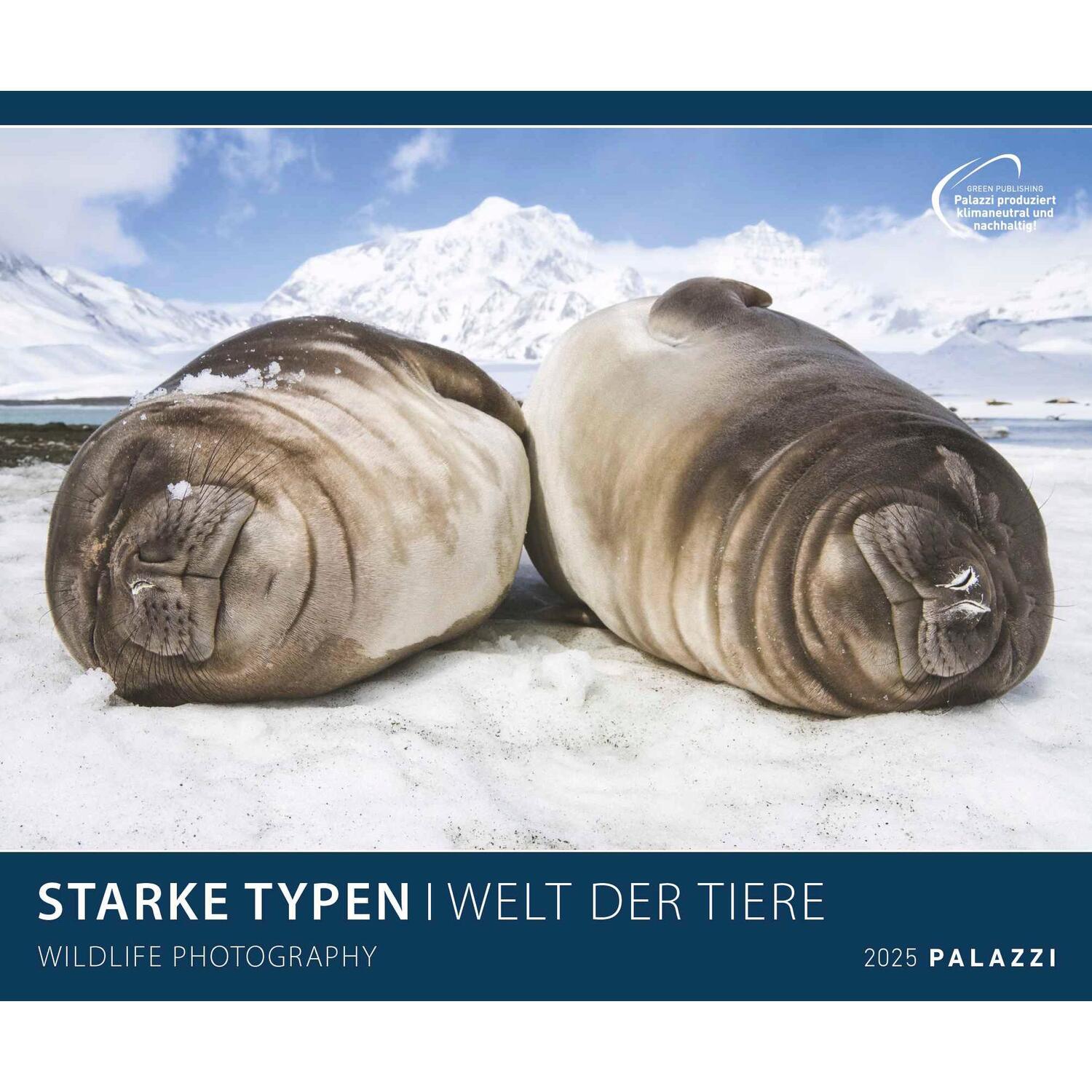 Cover: 4251734300720 | Starke Typen 2025 - Bild-Kalender - Poster-Kalender - 60x50 | Palazzi