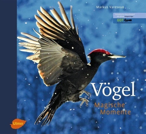 Cover: 9783800177080 | Vögel - Magische Momente | Markus Varesvuo | Buch | Deutsch | 2012