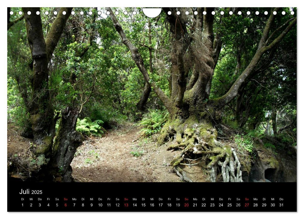 Bild: 9783435823833 | Insel El Hierro - Perle der Kanaren (Wandkalender 2025 DIN A4...