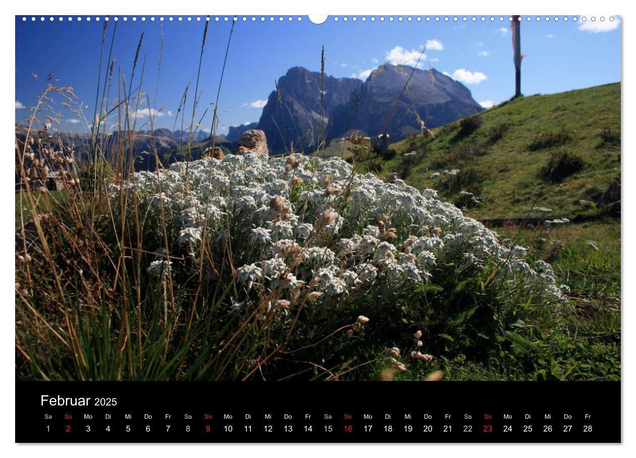 Bild: 9783435473533 | Alpe di Siusi - Seiser Alm (Wandkalender 2025 DIN A2 quer),...