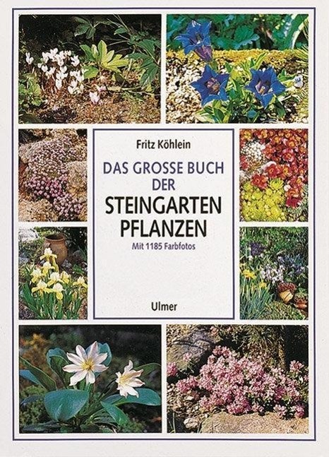 Cover: 9783800165599 | Das große Buch der Steingartenpflanzen | Fritz Köhlein | Buch | 1994