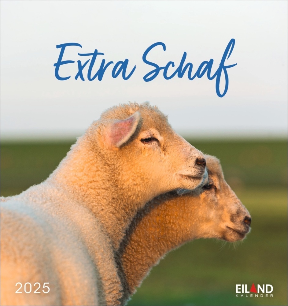 Cover: 9783964023254 | Extra Schaf Postkartenkalender 2025 | Kalender | Spiralbindung | 13 S.