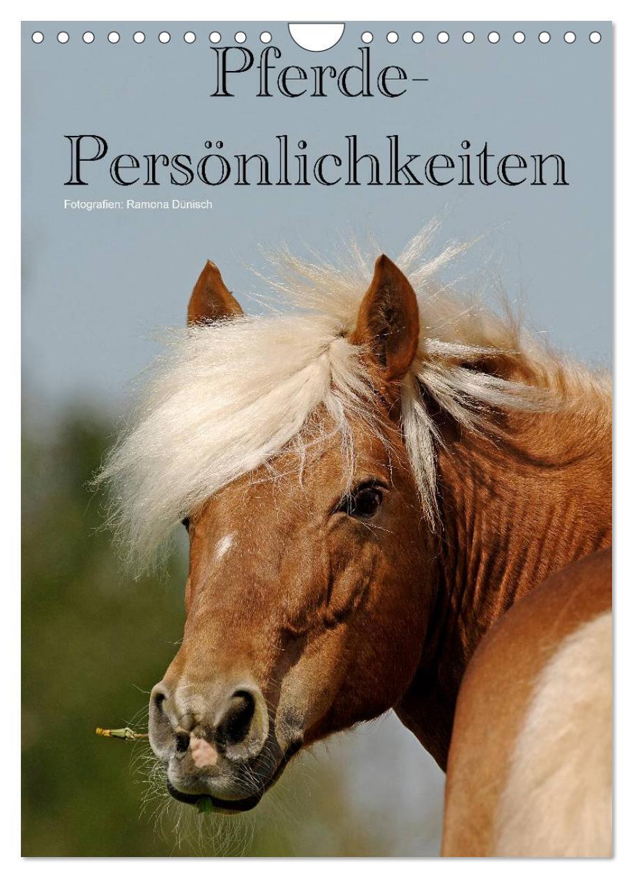 Cover: 9783383544194 | Pferde-Persönlichkeiten - ausdrucksstarke Gesichter verschiedener...