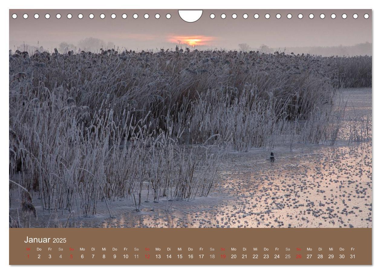 Bild: 9783435517169 | Der Federsee - Vogelparadies in Oberschwaben (Wandkalender 2025 DIN...