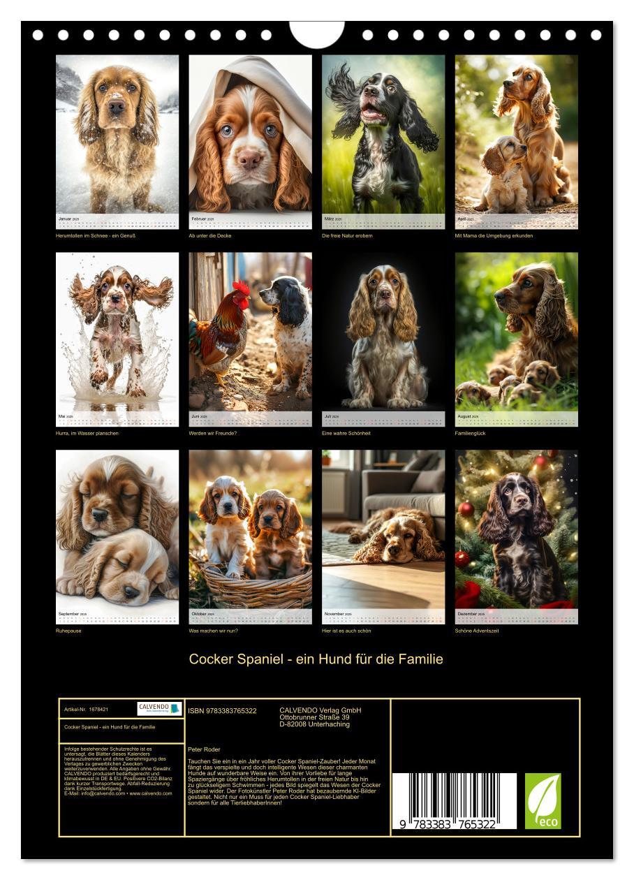 Bild: 9783383765322 | Cocker Spaniel - ein Hund für die Familie (Wandkalender 2025 DIN A4...