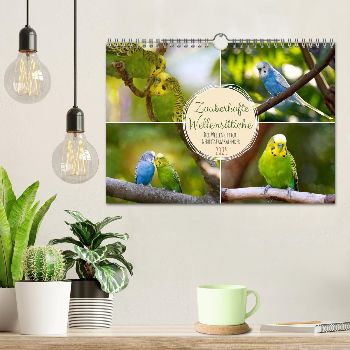 Bild: 9783383939884 | Zauberhafte Wellensittiche (Wandkalender 2025 DIN A4 quer),...