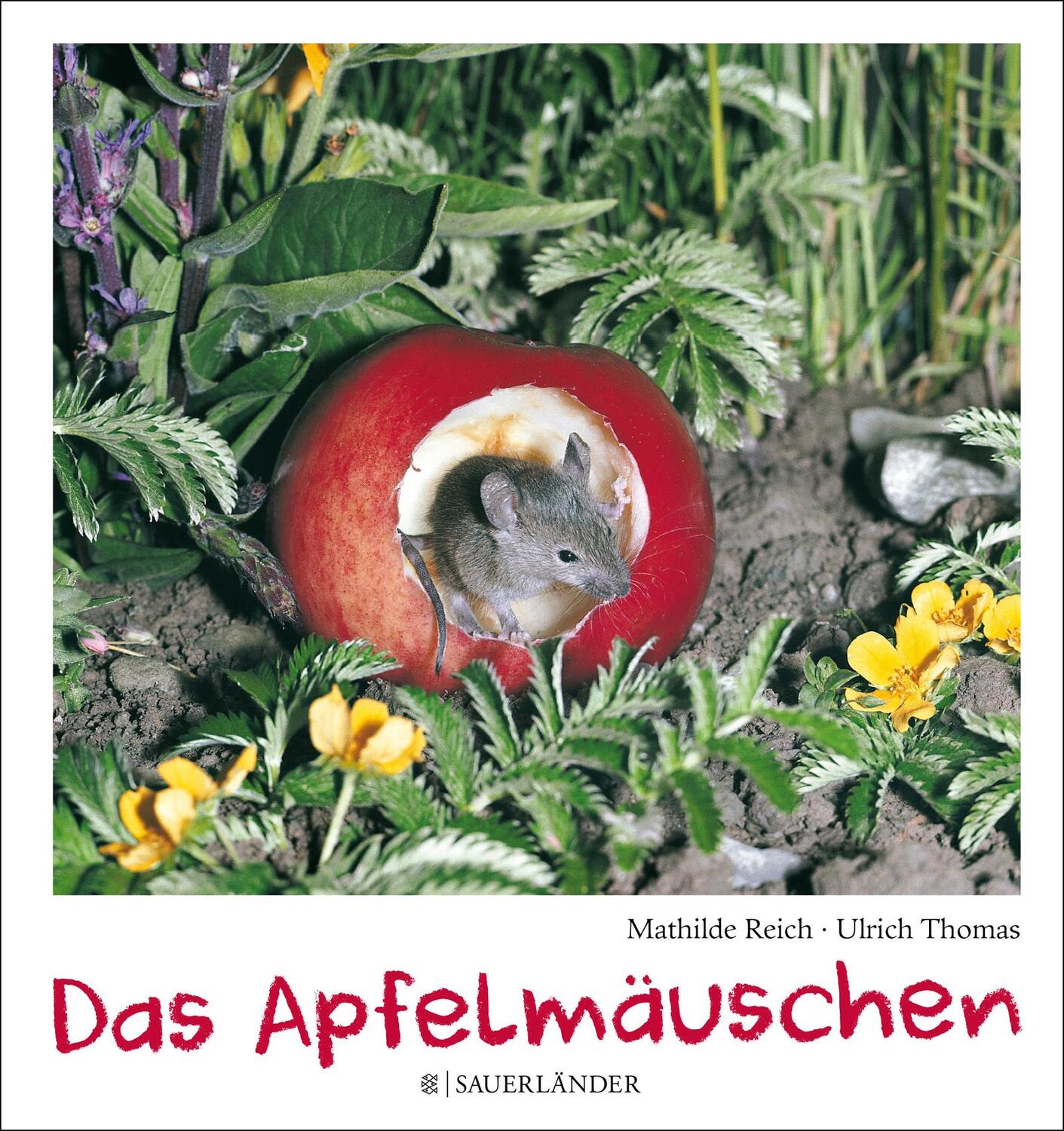 Cover: 9783737364003 | Das Apfelmäuschen | (Mini-Ausgabe) | Mathilde Reich | Buch | Deutsch