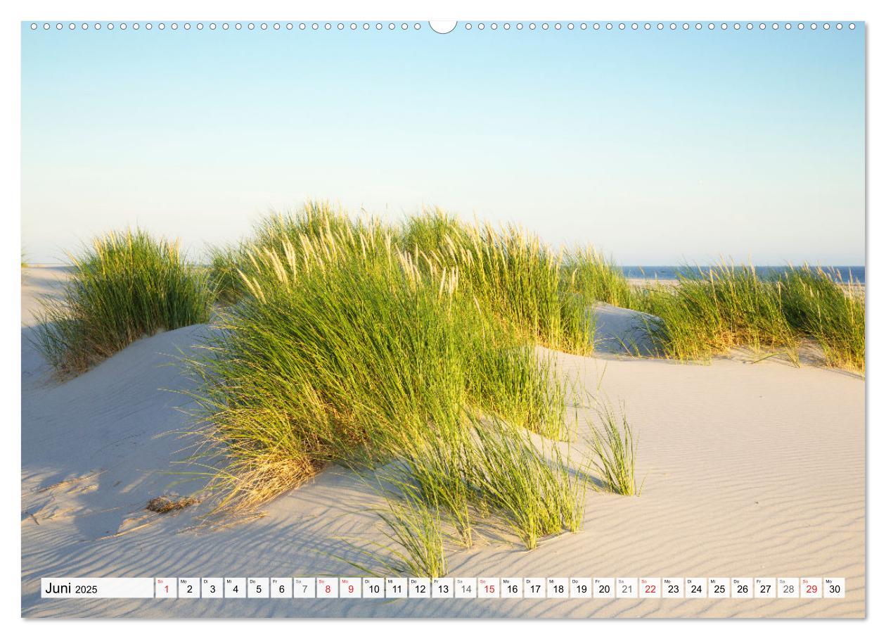 Bild: 9783435617586 | Amrum. Natur und Landschaften (Wandkalender 2025 DIN A2 quer),...