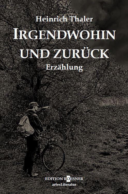 Cover: 9783950540550 | Irgendwohin und zurück | Roman | Heinrich Thaler | Buch | Deutsch