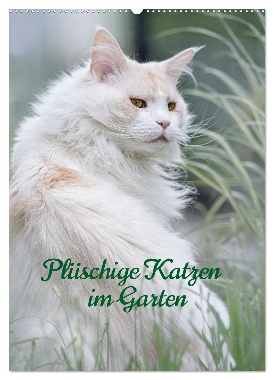 Cover: 9783675968899 | Plüschige Katzen im Garten (Wandkalender 2024 DIN A2 hoch),...