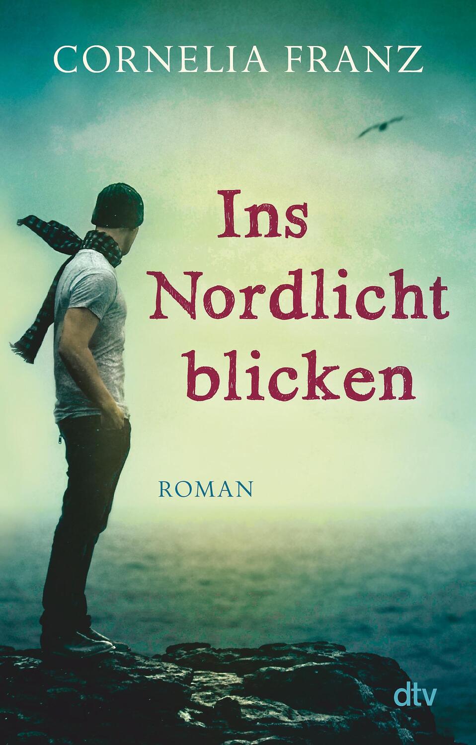 Cover: 9783423782784 | Ins Nordlicht blicken | Cornelia Franz | Taschenbuch | dtv- pocket