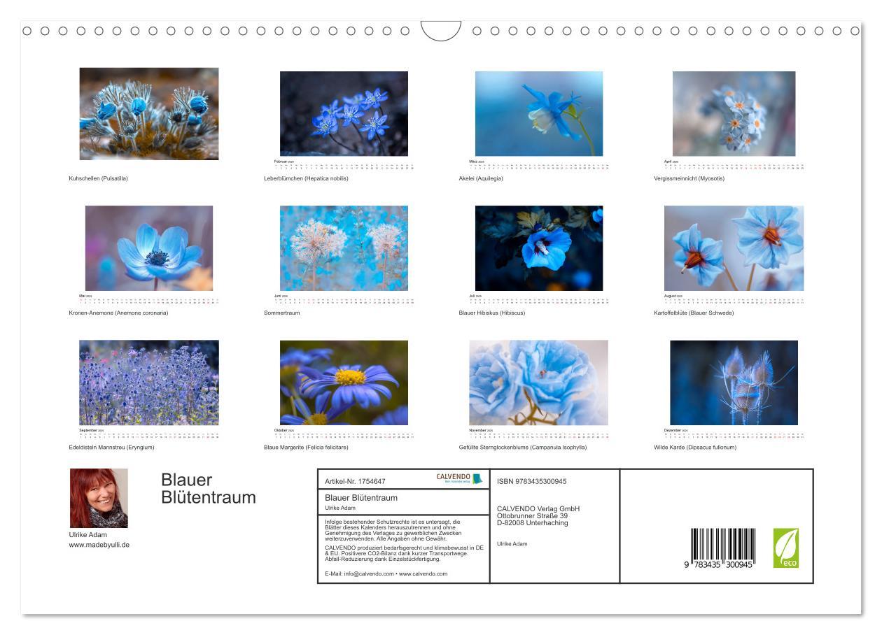 Bild: 9783435300945 | Blauer Blütentraum (Wandkalender 2025 DIN A3 quer), CALVENDO...