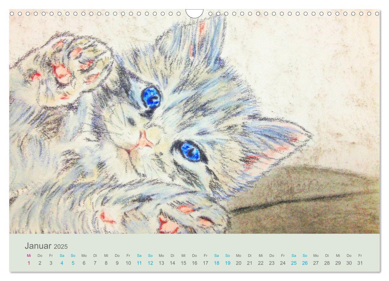 Bild: 9783435097487 | KATZEN PortraiTierART (Wandkalender 2025 DIN A3 quer), CALVENDO...