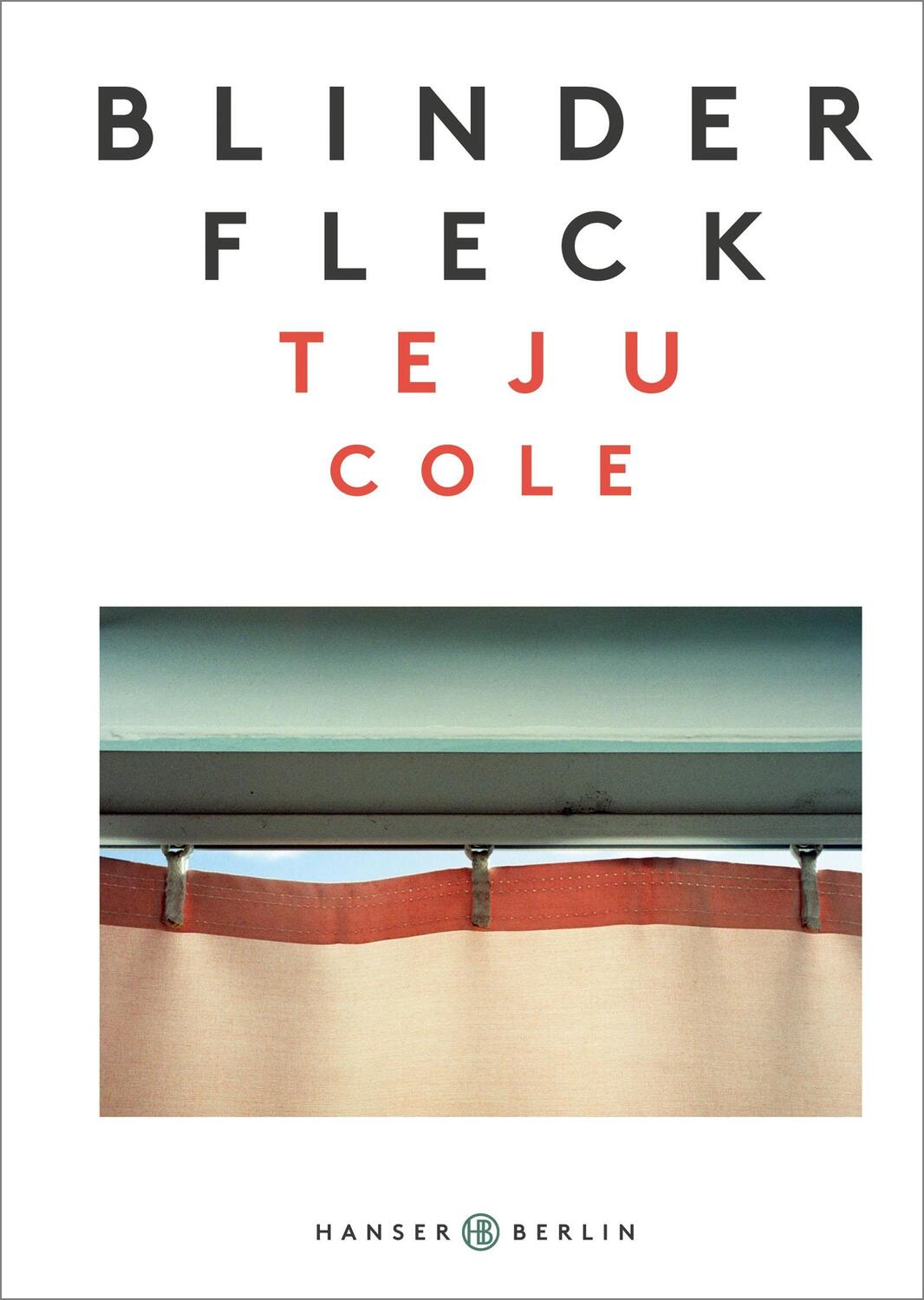 Cover: 9783446258501 | Blinder Fleck | Teju Cole | Buch | Deutsch | 2018 | Hanser Berlin