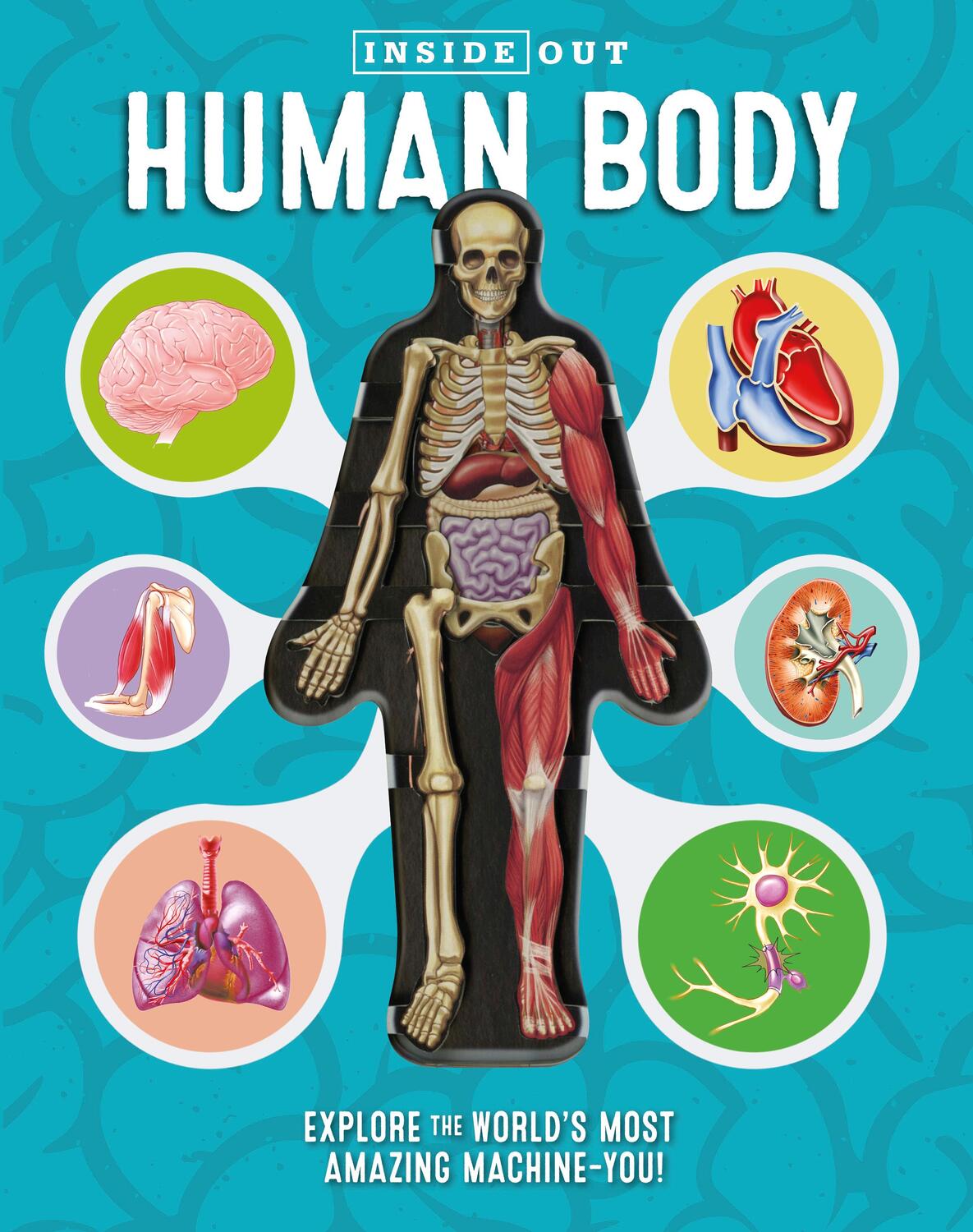Cover: 9780760355312 | Inside Out Human Body | Explore the World's Most Amazing Machine-You!