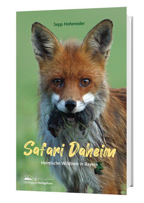 Cover: 9783945292693 | Safari Daheim | Heimische Wildtiere in Bayern | Sepp Hoheneder | Buch