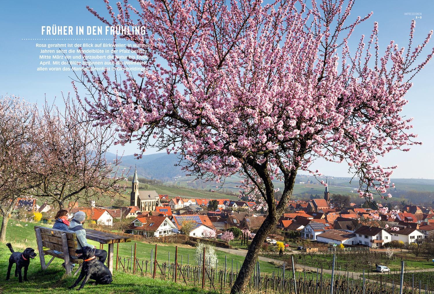 Bild: 9783616012360 | DuMont Bildatlas Pfalz | Das praktische Reisemagazin zur Einstimmung.