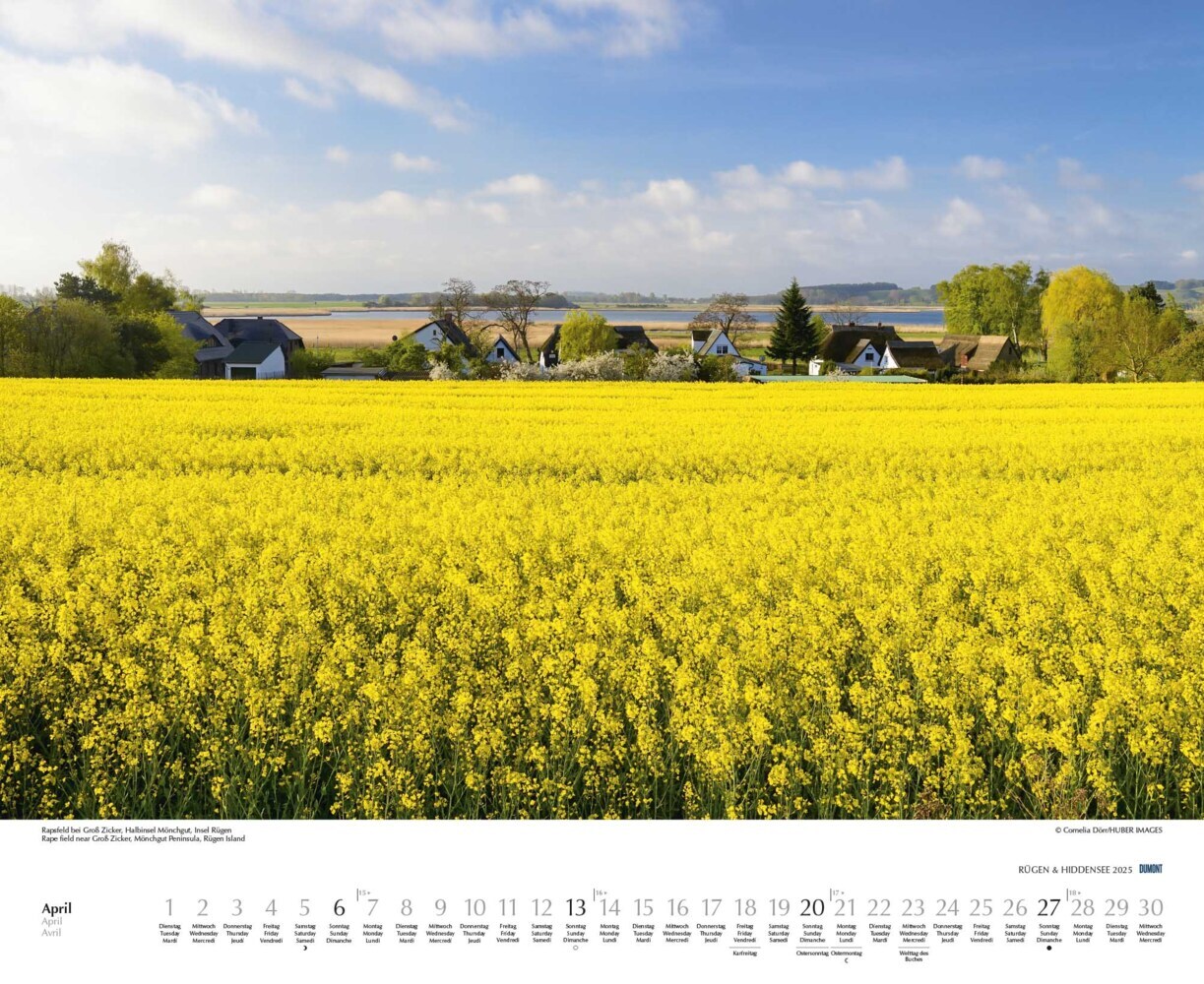 Bild: 4250809652726 | DUMONT - Rügen &amp; Hiddensee 2025 Wandkalender, 52x42,5cm,...