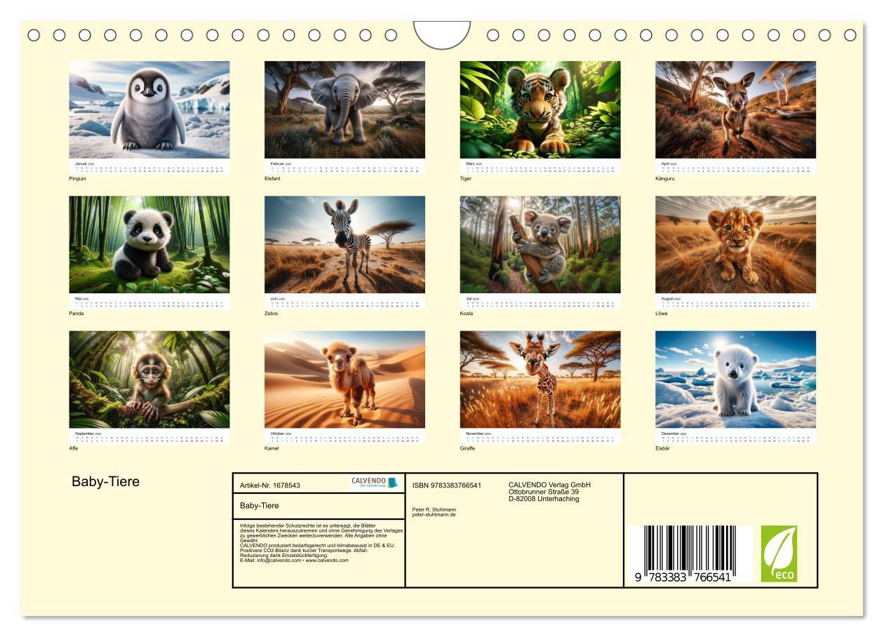 Bild: 9783383766541 | Baby-Tiere (Wandkalender 2025 DIN A4 quer), CALVENDO Monatskalender