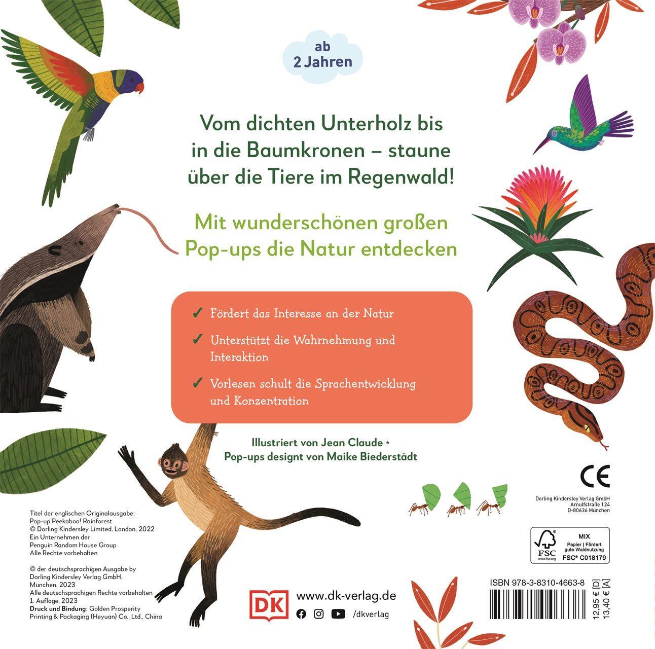 Rückseite: 9783831046638 | Mein Pop-up-Buch zum Staunen. Wer lebt im Regenwald? | Sandra Grimm