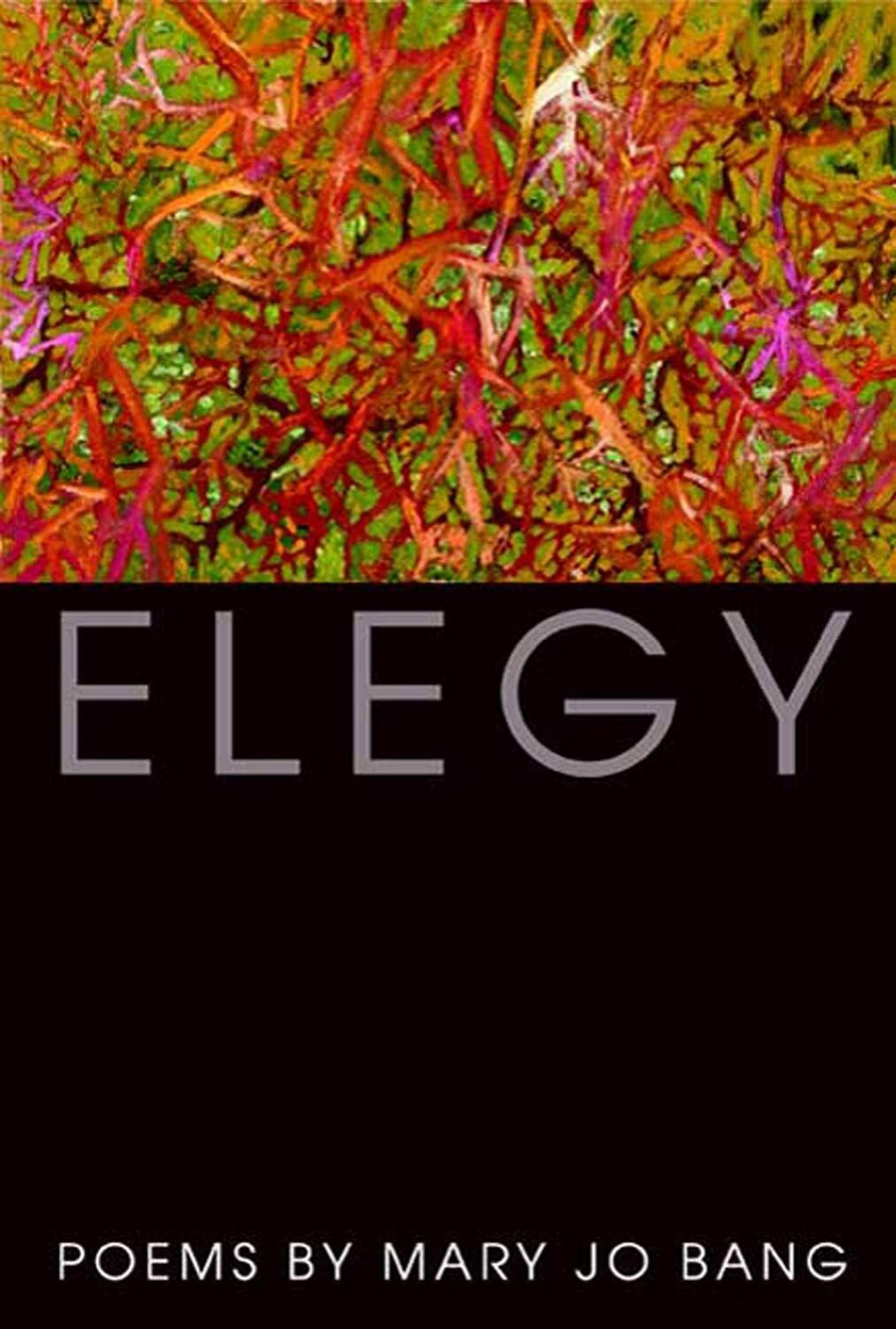 Cover: 9781555975401 | Elegy | Mary Jo Bang | Taschenbuch | Englisch | 2009 | Graywolf Press