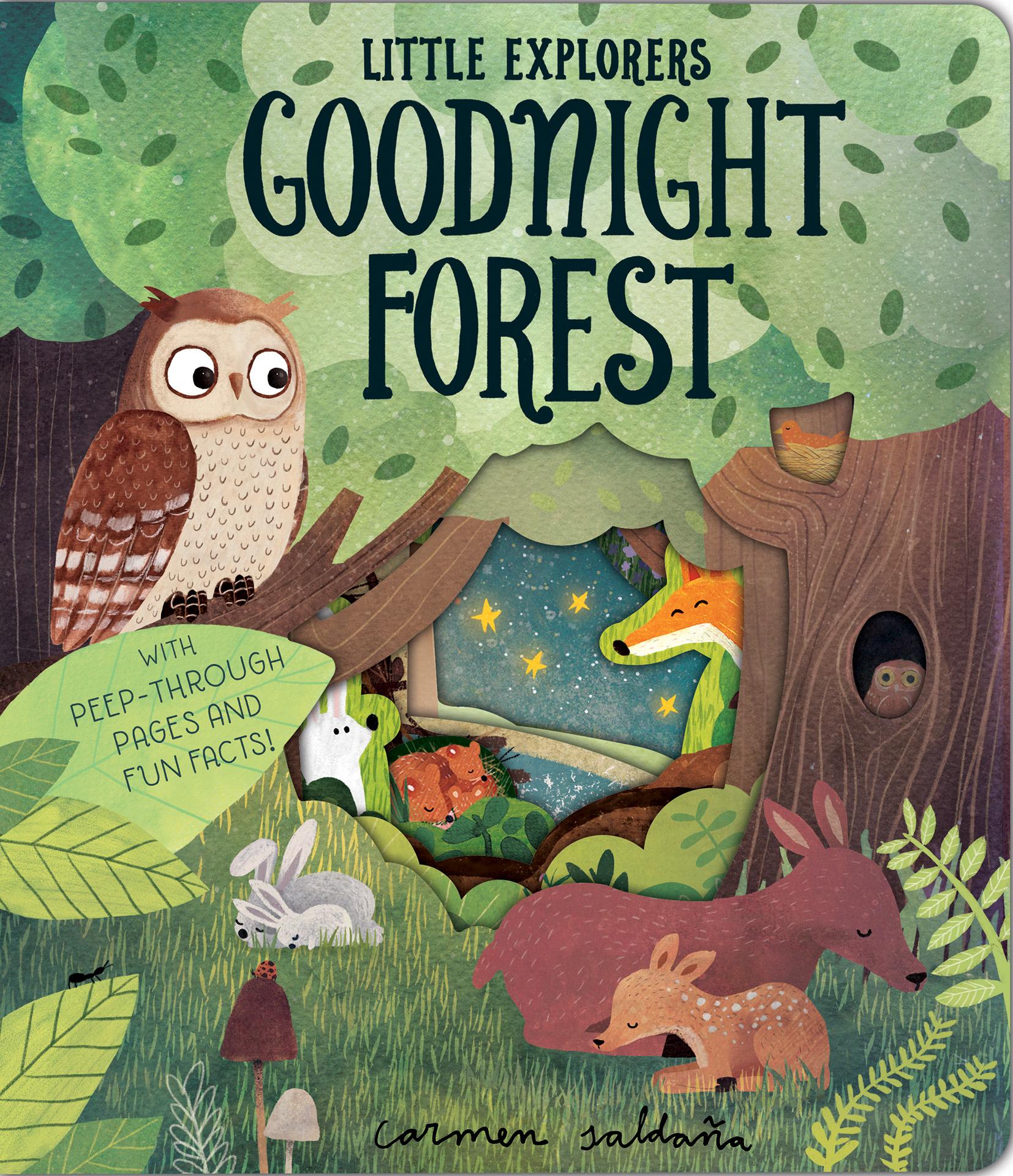 Cover: 9781912756131 | Goodnight Forest | Becky Davies | Buch | Little Explorers | Gebunden