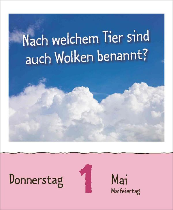 Bild: 9783731877363 | Warum wackelt Wackelpudding? 2025 | Verlag Korsch | Kalender | 328 S.