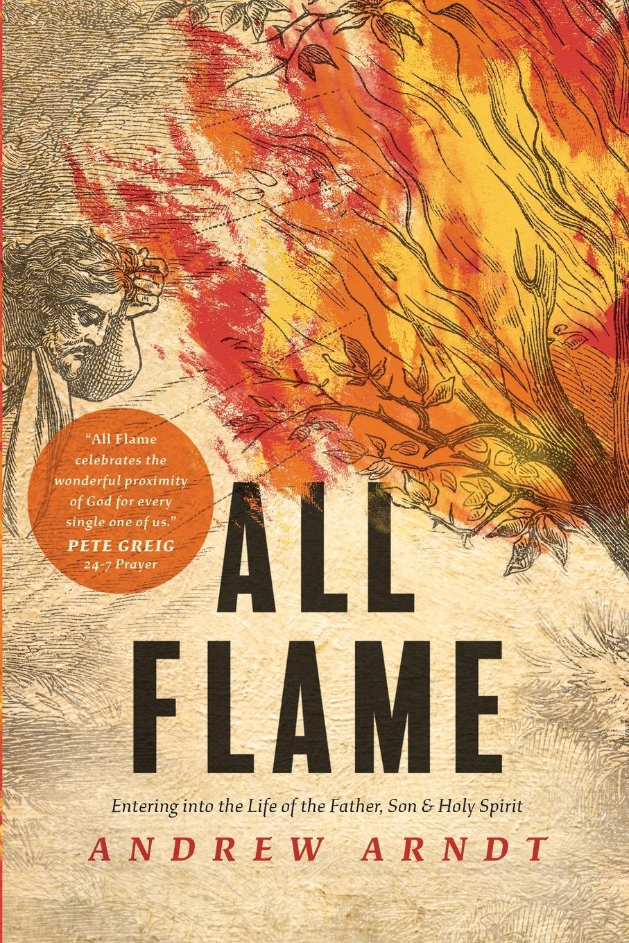 Cover: 9781641581516 | All Flame | Andrew Arndt | Taschenbuch | Englisch | 2020 | NavPress