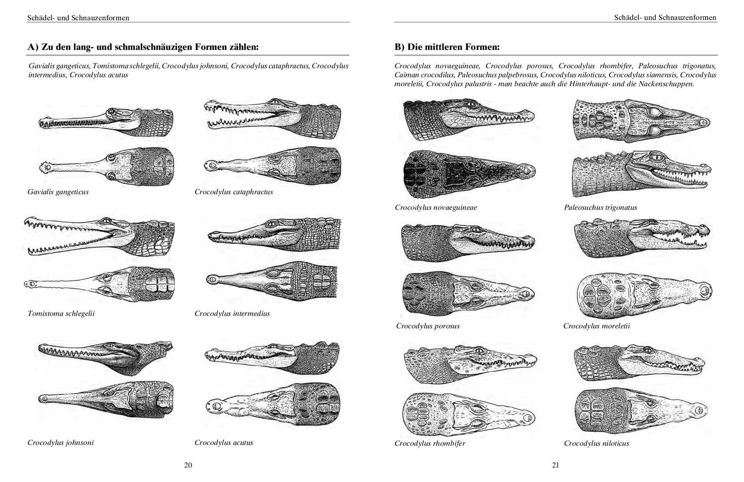 Bild: 9783866594968 | Krokodile | Ein Leben mit Panzerechsen | Joachim Brock | Taschenbuch