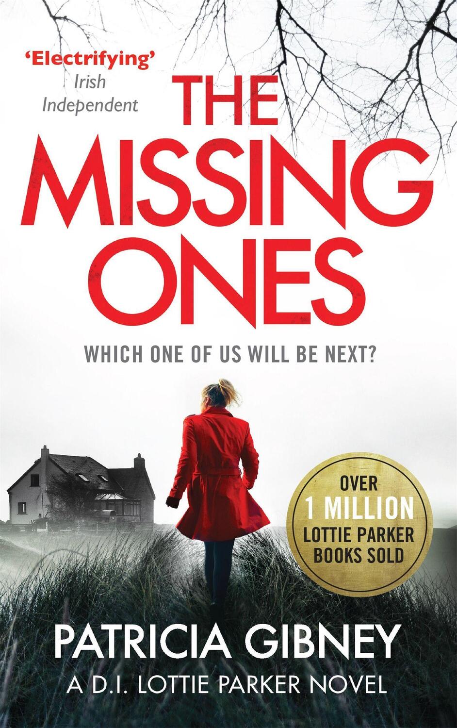 Cover: 9780751572179 | The Missing Ones: An absolutely gripping thriller with a...