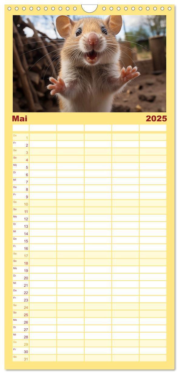 Bild: 9783457191736 | Familienplaner 2025 - Tier Selfies mit 5 Spalten (Wandkalender, 21...