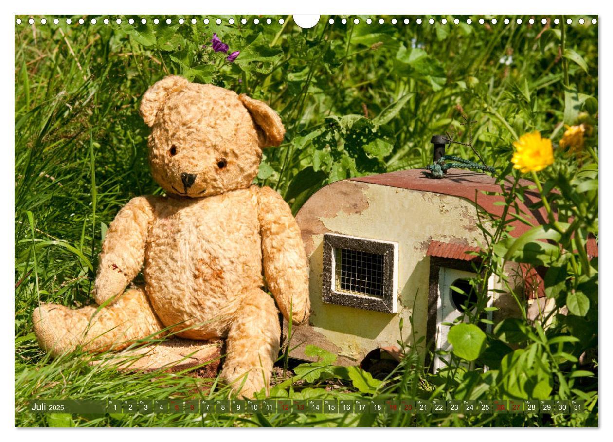 Bild: 9783435411832 | Kunterbunte Bärenwelt - Teddys (Wandkalender 2025 DIN A3 quer),...