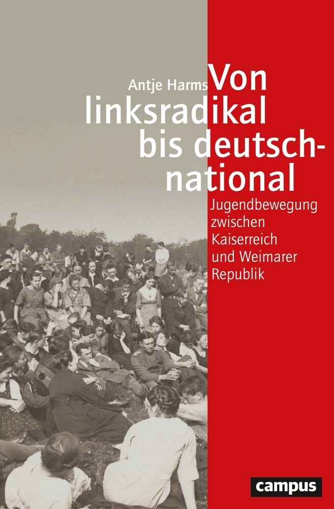 Cover: 9783593512921 | Von linksradikal bis deutschnational | Antje Harms | Taschenbuch