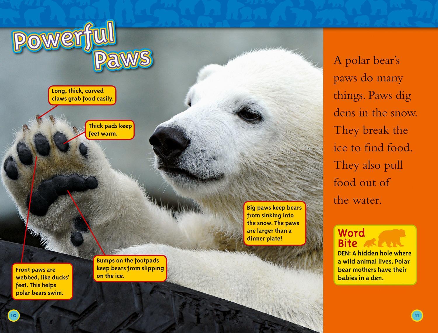 Bild: 9780008266592 | Polar Bears | Level 2 | Laura Marsh (u. a.) | Taschenbuch | Englisch