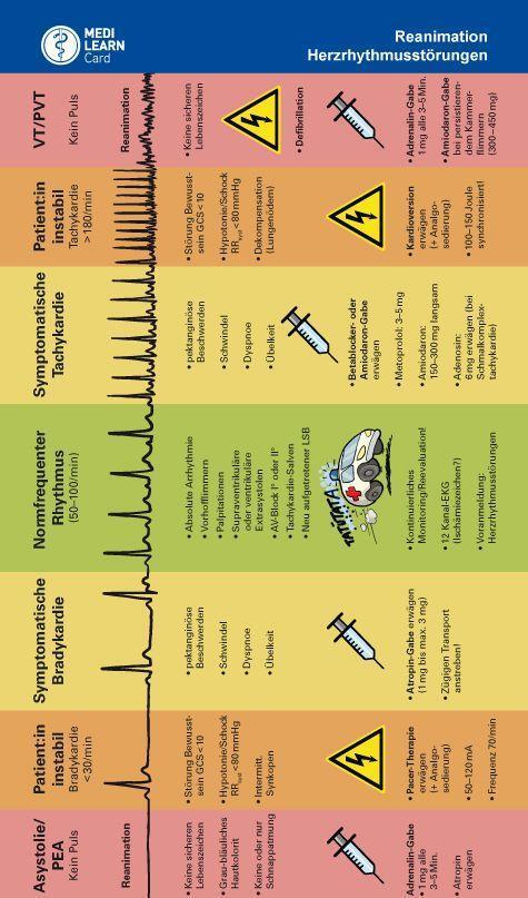 Bild: 9783956581182 | MEDI-LEARN Card: Herzrhythmusstörungen und Reanimation | Stück | 1 S.