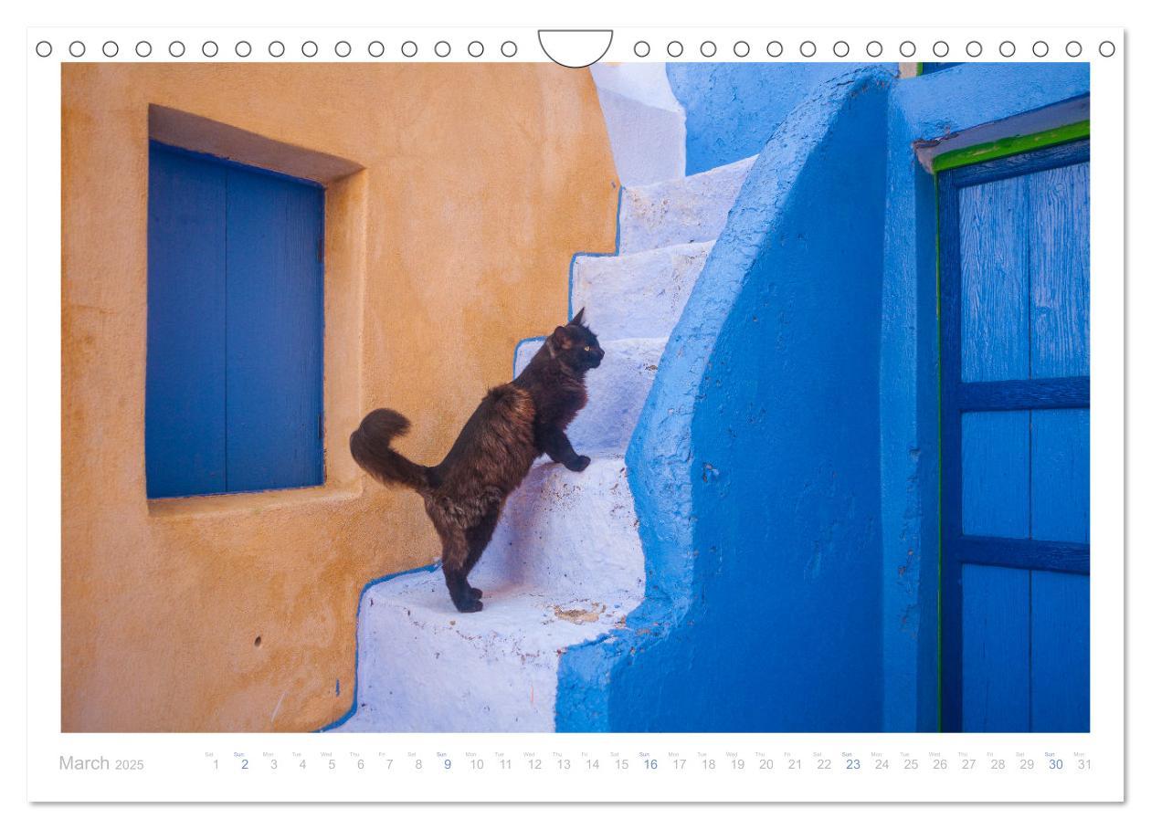 Bild: 9781325837526 | Cats of the Greek Islands (Wall Calendar 2025 DIN A4 landscape),...