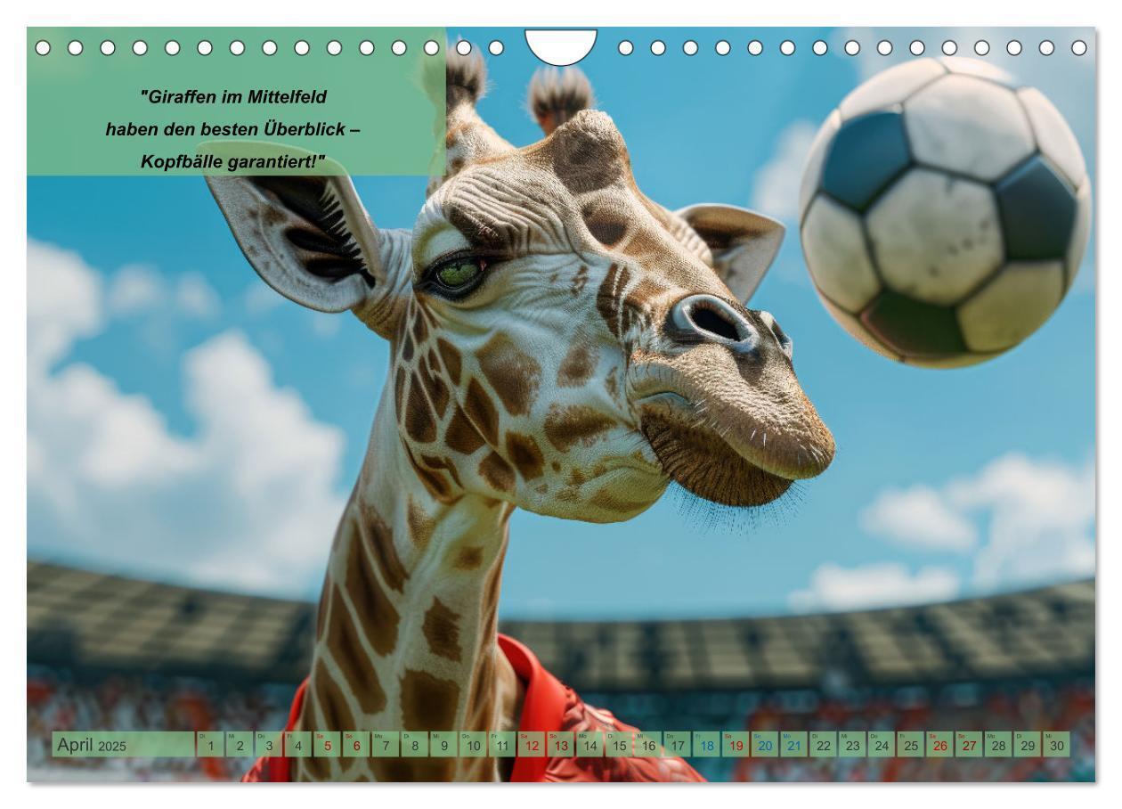 Bild: 9783457152676 | Der tierisch lustige Fußballkalender (Wandkalender 2025 DIN A4...