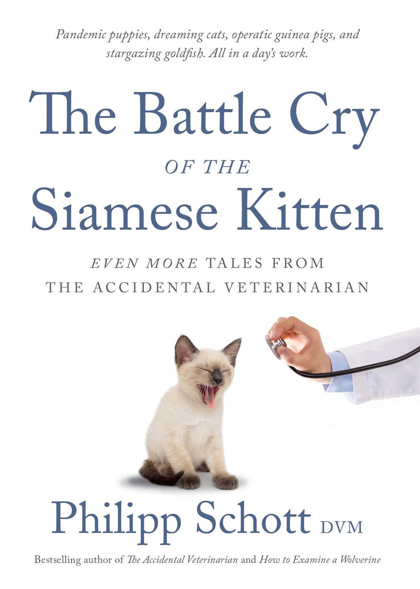 Cover: 9781770416697 | The Battle Cry of the Siamese Kitten | Philipp Schott | Taschenbuch