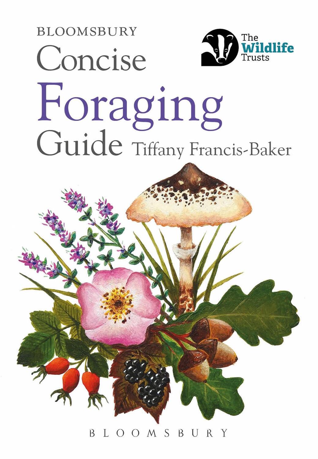 Cover: 9781472984746 | Concise Foraging Guide | Tiffany Francis-Baker | Taschenbuch | 2021