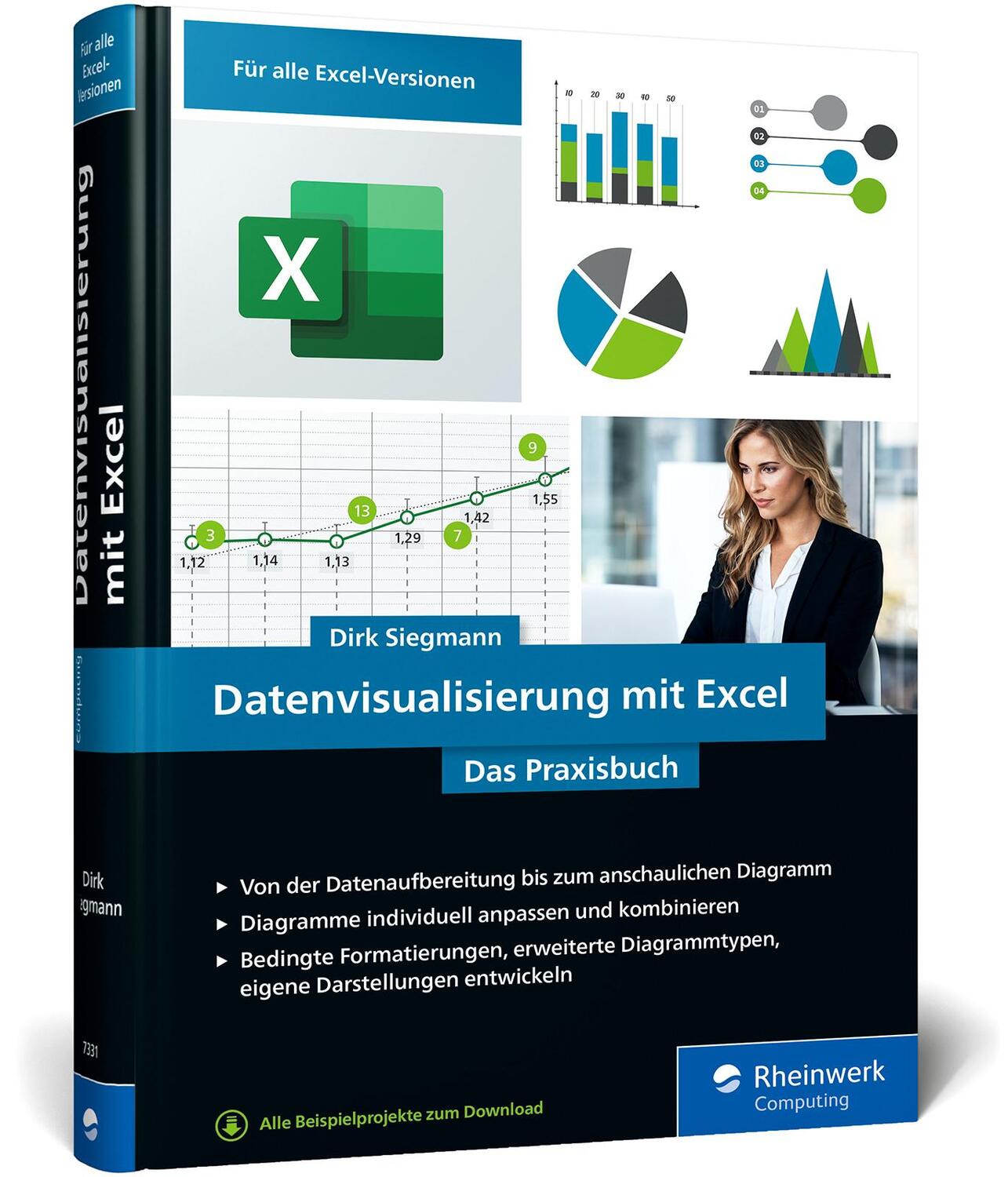Cover: 9783836273312 | Datenvisualisierung mit Excel | Dirk Siegmann | Buch | 400 S. | 2021