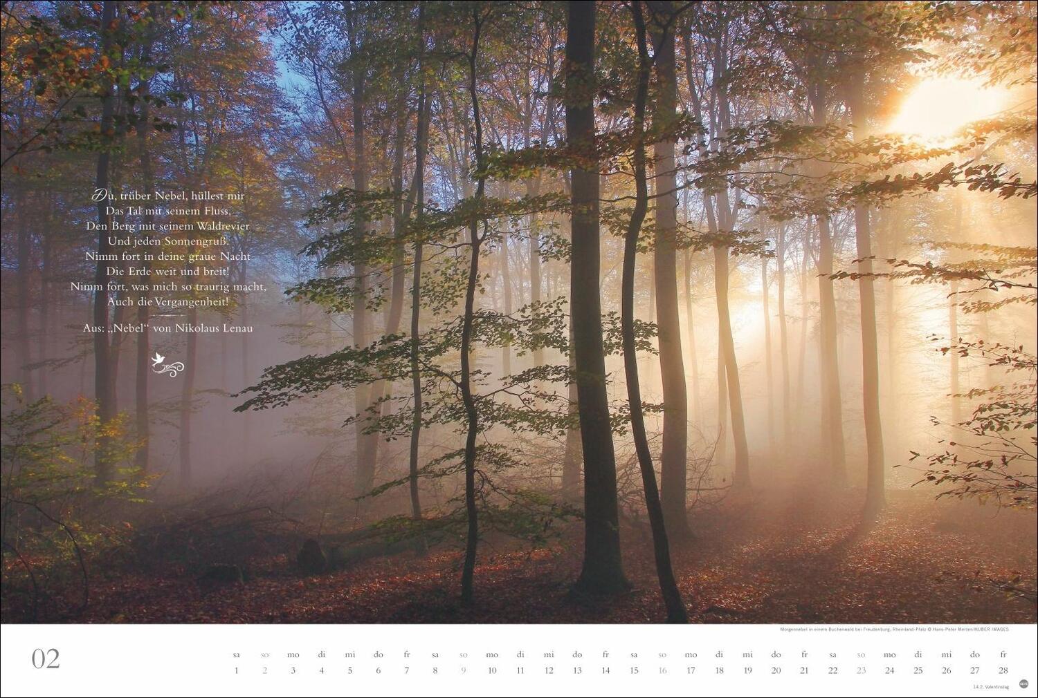 Bild: 9783756404803 | Der deutsche Wald - Ein literarischer Spaziergang Kalender 2025 -...