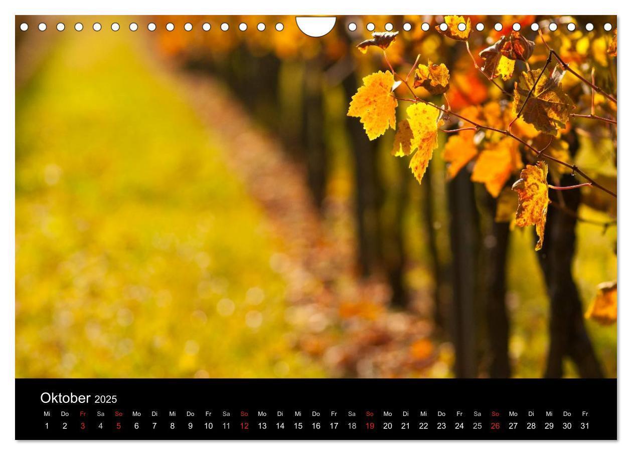 Bild: 9783435718948 | Weinberge im Remstal (Wandkalender 2025 DIN A4 quer), CALVENDO...