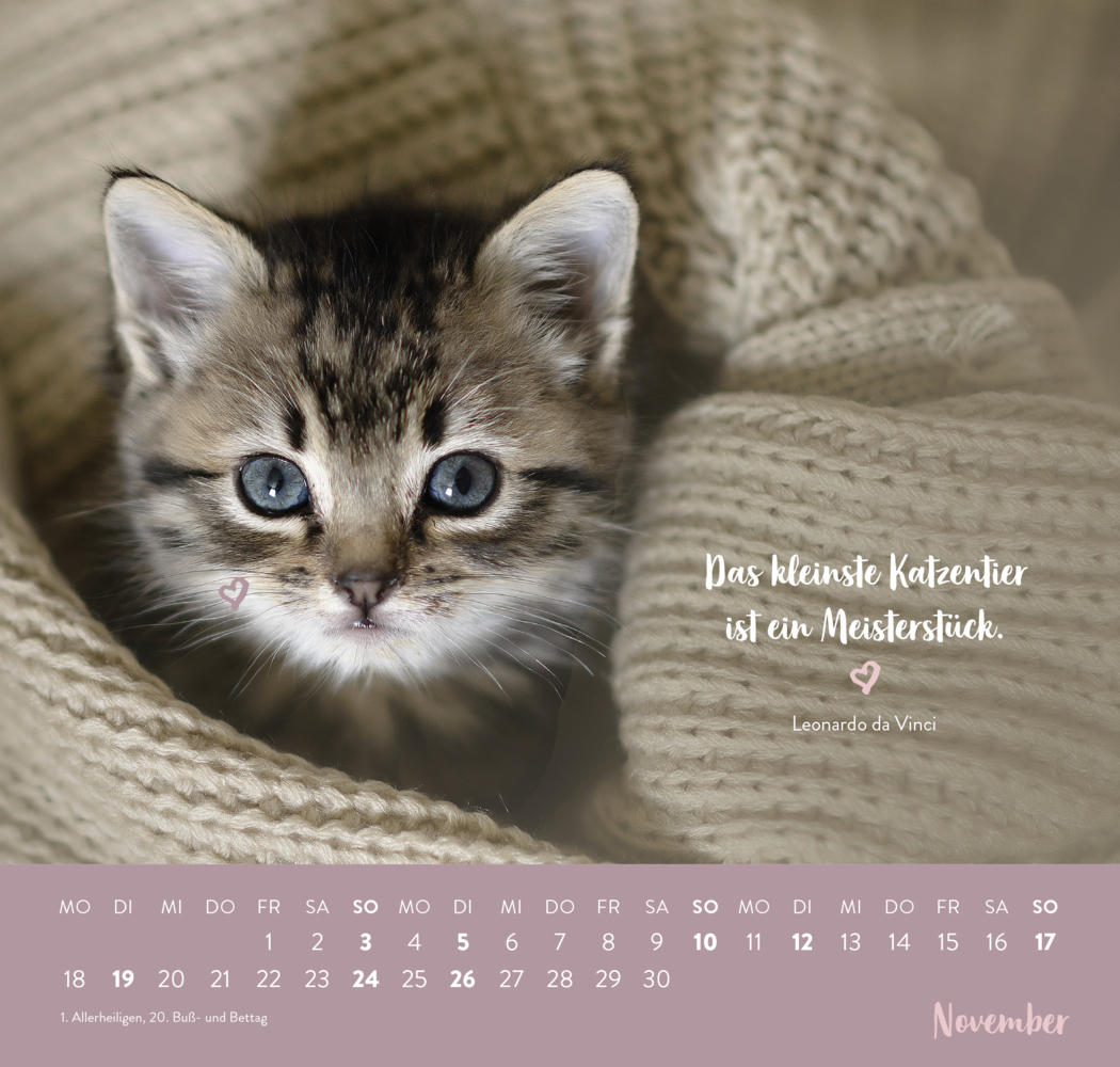 Bild: 4036442010587 | Wandkalender 2024: Für Katzenfreunde | Groh Verlag | Kalender | 12 S.