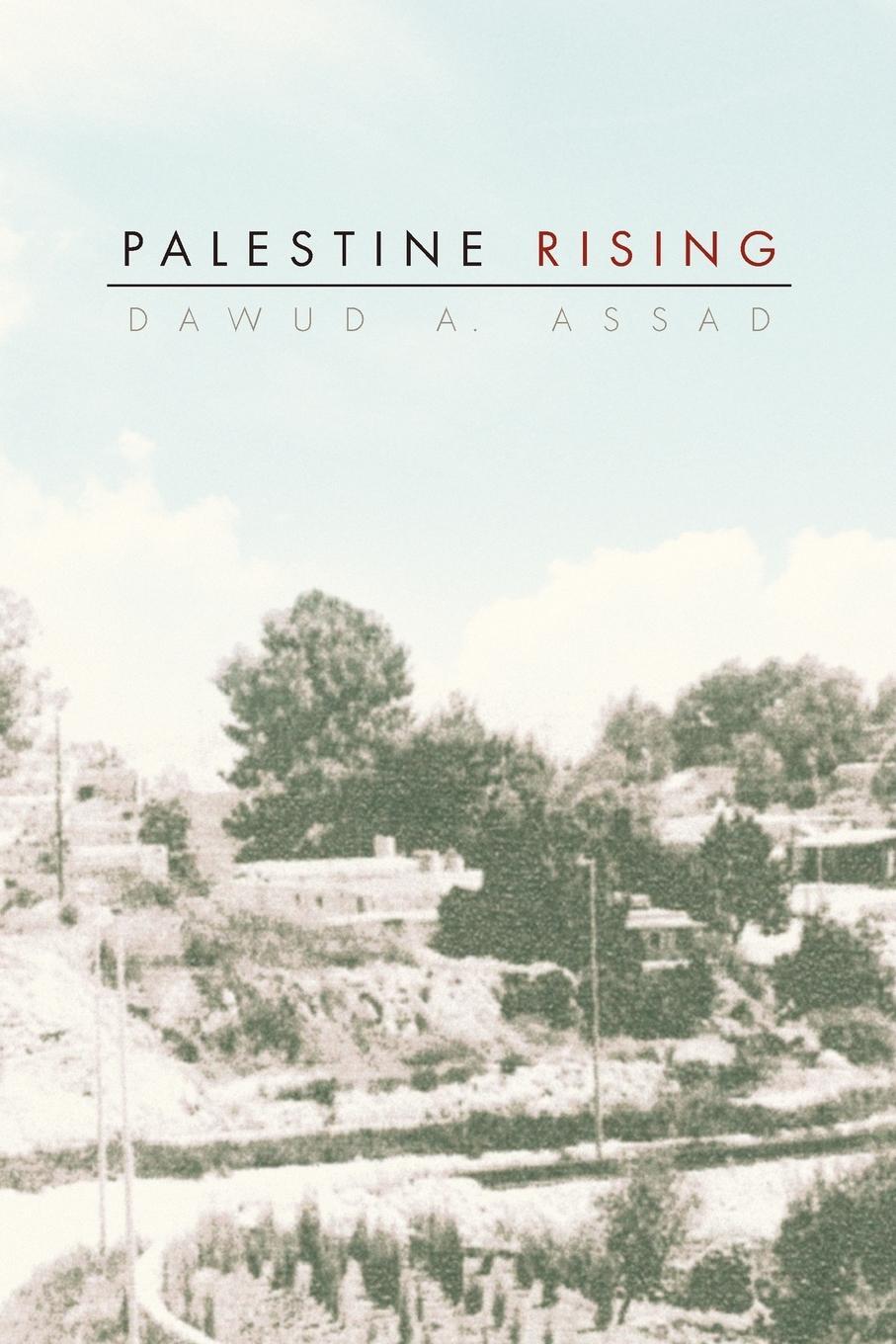 Cover: 9781453570333 | Palestine Rising | Dawud A. Assad | Taschenbuch | Paperback | Englisch