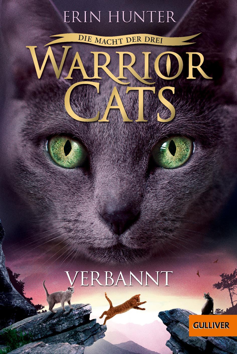 Cover: 9783407747419 | Warrior Cats Staffel 3/03. Die Macht der Drei. Verbannt | Erin Hunter