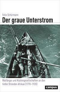 Cover: 9783593506753 | Der graue Unterstrom | Felix Schürmann | Taschenbuch | 682 S. | 2017