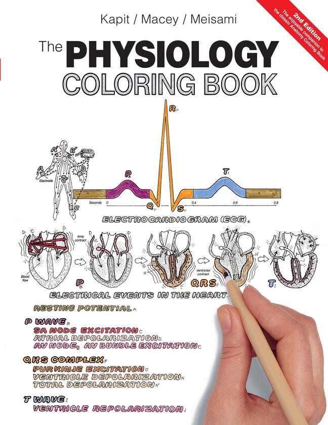 Cover: 9780321036636 | Physiology Coloring Book, The | Esmail Meisami (u. a.) | Taschenbuch